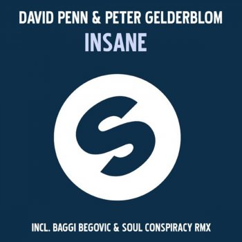 David Penn & Peter Gelderblom Insane - Baggi Begovic & Soul Conspiracy Remix