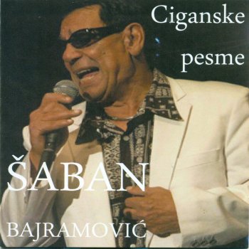 Saban Bajramovic ‎ Pevace nam Lepa Brena