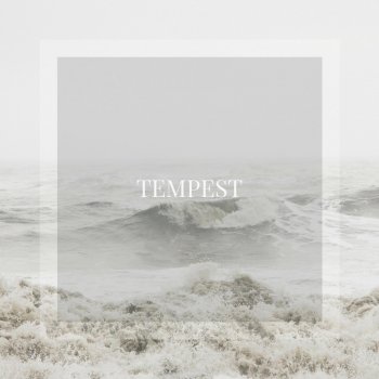 IMRSQD Tempest