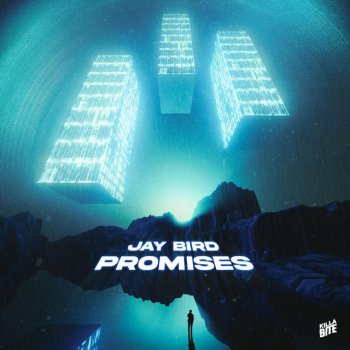 JAY BIRD Promises