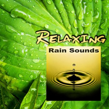 Natural Sounds Music Academy Relaxing Night Rain