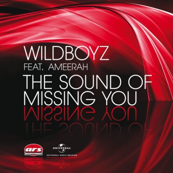 Исполнитель Wild Boyz!, альбом Wildboyz ft. Ameerah - The Sound Of Missing You