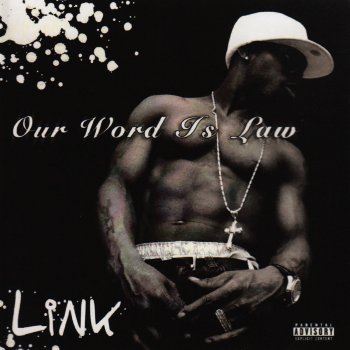 Link Interlude
