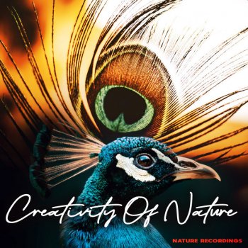 Nature Recordings Dunes Waterfowl