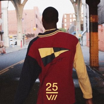 Salomon Faye 25