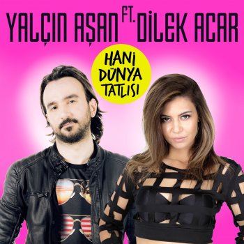 Yalçın Aşan feat. Dilek Acar Hani Dünya Tatlısı