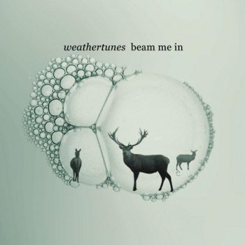 Weathertunes Migrant Birds