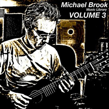 Michael Brook Stoneking