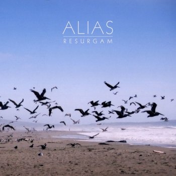 Alias Oakland Morning