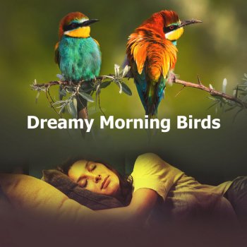 Birds 3AM Whistle Dawn
