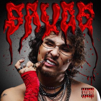 Исполнитель Кисло-Сладкий, альбом Sauce