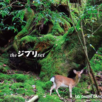 Daishi Dance となりのトトロ: 風のとおり道