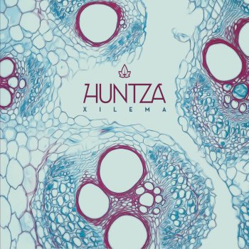 Huntza Buruz behera