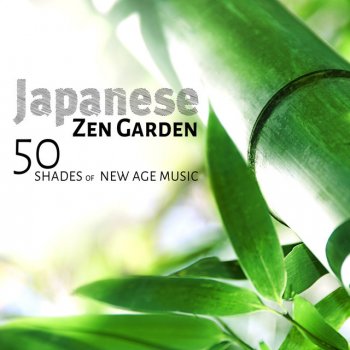 Chakra Healing Music Academy Zen Garden Music (Secret Spa)