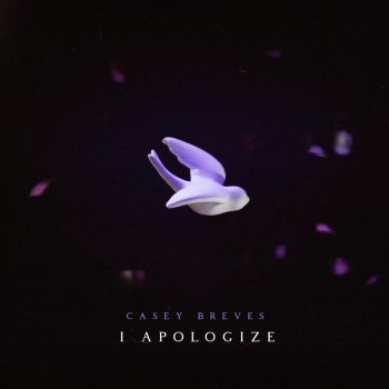 Casey Breves I Apologize