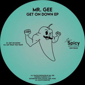 Mr Gee Say What You Want