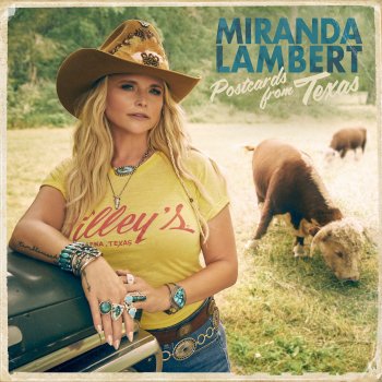 Miranda Lambert Armadillo
